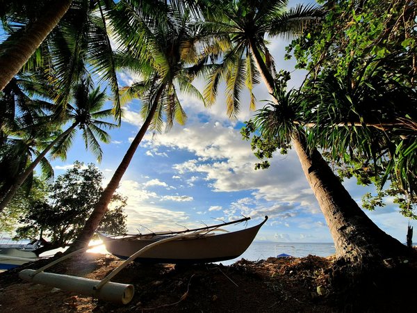 What are the most cost-effective modes of transport for exploring the UK?